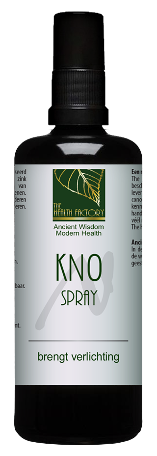 Image of The Health Factory - KNO spray with Zinc and Silver 100 ml 8718627640661